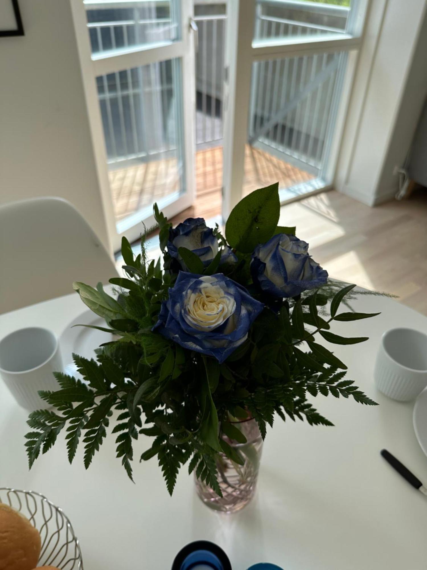Luxury New Cozy And Quietly 95M2 Διαμέρισμα Τόρσχαβν Εξωτερικό φωτογραφία